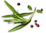Česká kuchyně